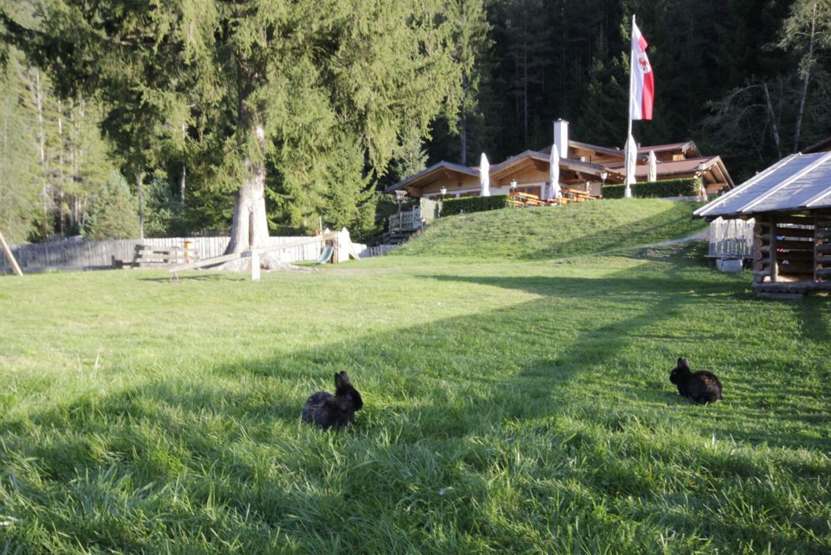 Schwarze Kaninchen auf der Wiese vor Happi's Hütte mit Tirol-Fahne im Gurgltal
