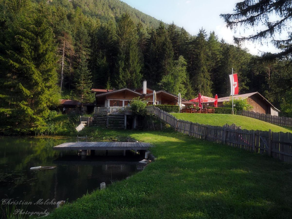 Happi's Hütte am Naturteich im Sommer — Tiroler Holzbau mit Tirol-Fahne, eingebettet im Fichtenwald