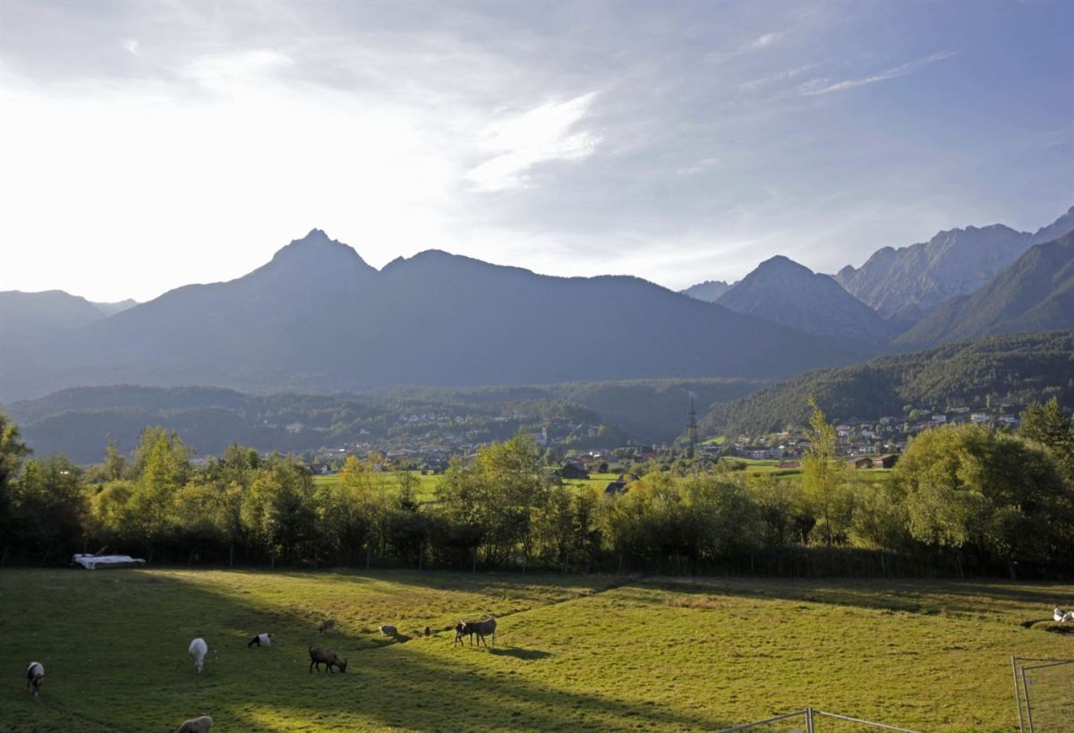 Abendstimmung über dem Gurgltal mit Tiroler Bergpanorama und Schafen auf der Wiese